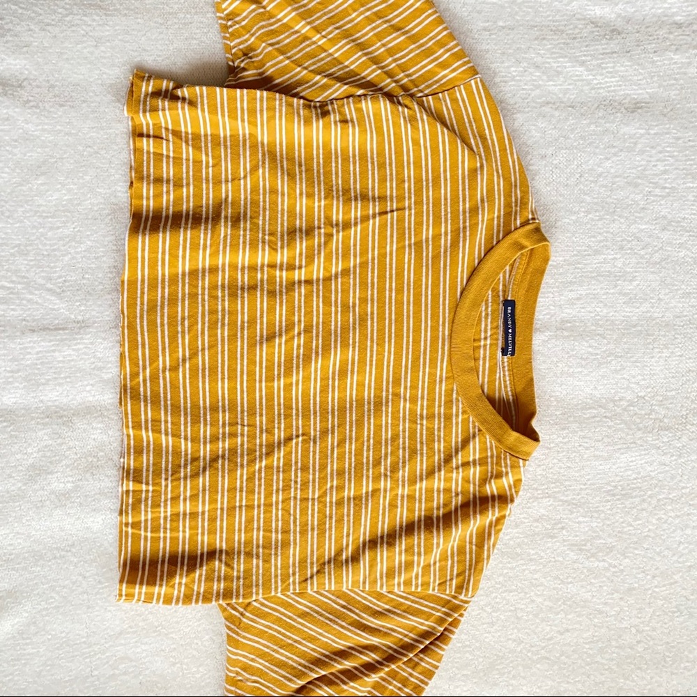 Brandy Melville Cropped Tshirt